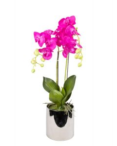 Bright Pink Orchid (2 Stems) - Silver Ceramic Pot